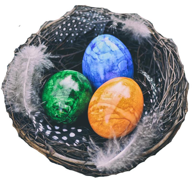 Artikel www.ederen.de